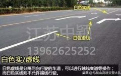道路交通標(biāo)線圖文講解，僅花1分鐘讓你快速看懂，再也不會被違章扣分