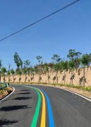蘇州道路劃線反光漆多少錢一個平方？